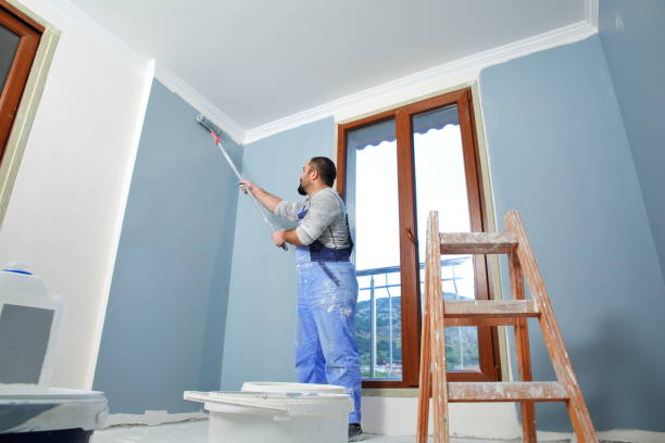 Best Real Estate Mold Inspection  in Wonder Lake, IL