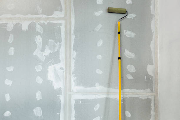 Best Air Quality Testing for Mold Spores  in Wonder Lake, IL