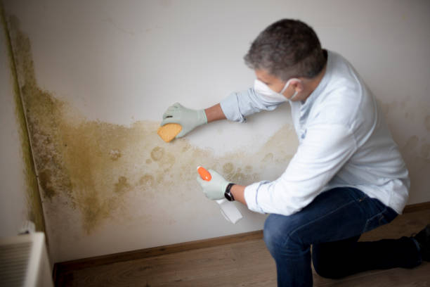 Best Indoor Air Quality Assessment  in Wonder Lake, IL