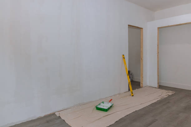 Best Mold Damage Restoration  in Wonder Lake, IL