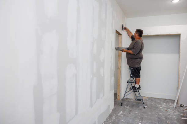 Best Crawl Space Mold Remediation  in Wonder Lake, IL