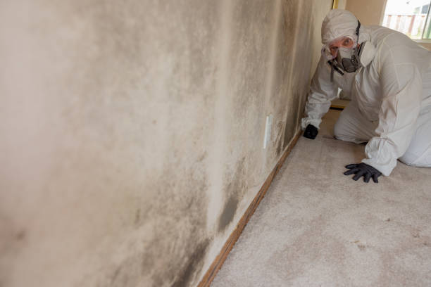 Best Air Quality Testing for Mold Spores  in Wonder Lake, IL